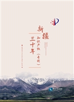 新疆知识产权（专利）三十