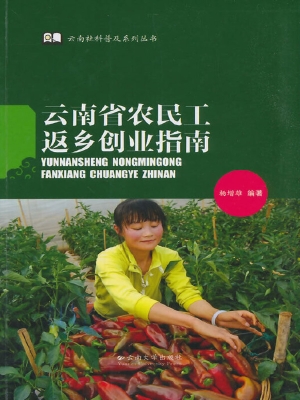 云南省农民工返乡创业