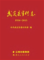 武定县宣传志