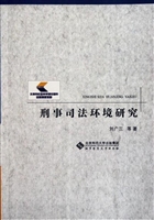 刑事司法环境研究