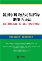 新刑事诉讼法司法解释