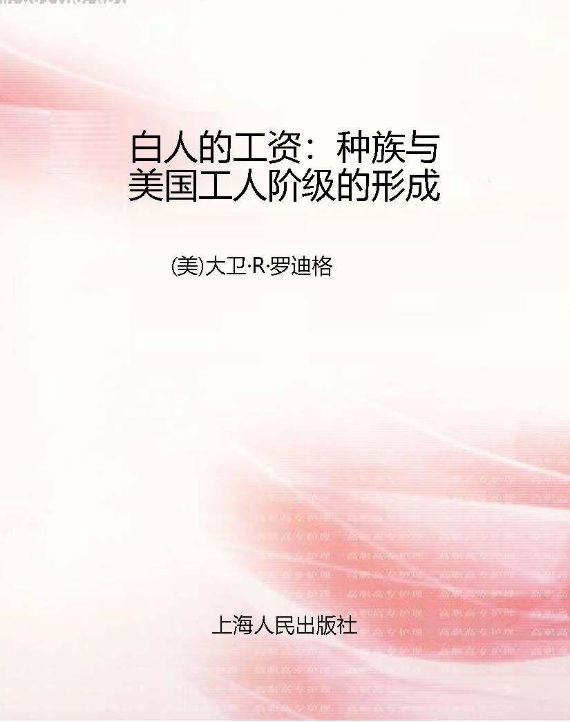 白人的工资：种族与美国
