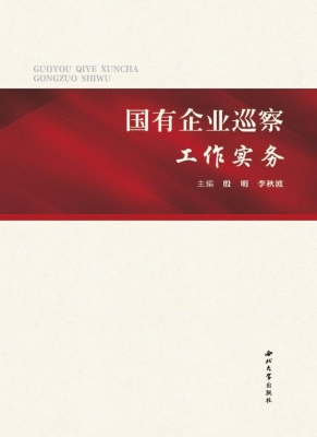 国有企业巡察工作实务