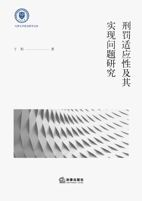 刑罚适应性及其实现问