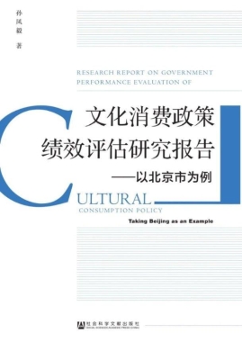 文化消费政策绩效评估