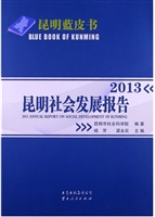 昆明社会发展报告2013