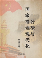 公法与国家治理现代化