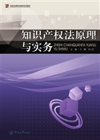 知识产权法原理与实务