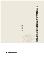 中国农村集体经济有效