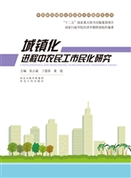 城镇化进程中农民工市