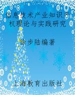 信息技术产业知识产权