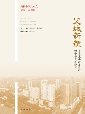 父城新颜——宝丰改革