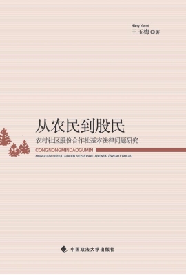 从农民到股民——农村