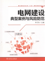 电网建设典型案例与风