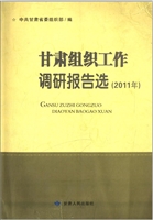 甘肃组织工作调研报告