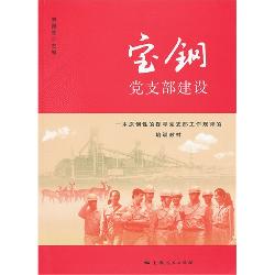 宝钢党支部建设