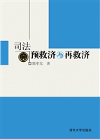 司法预救济与再救济