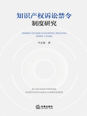知识产权诉讼禁令制度
