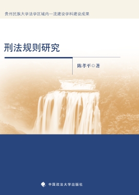 刑法规则研究