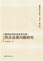 我国农村经济改革中的