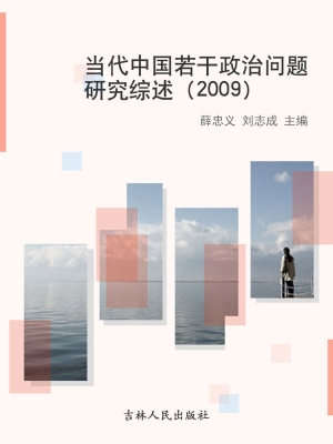 当代中国若干政治问题