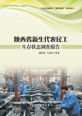 陕西省新生代农民工生