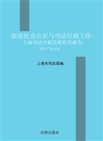 促进社会公正与司法行