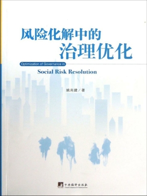 风险化解中的治理优化