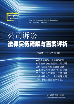 公司诉讼法律实务精解