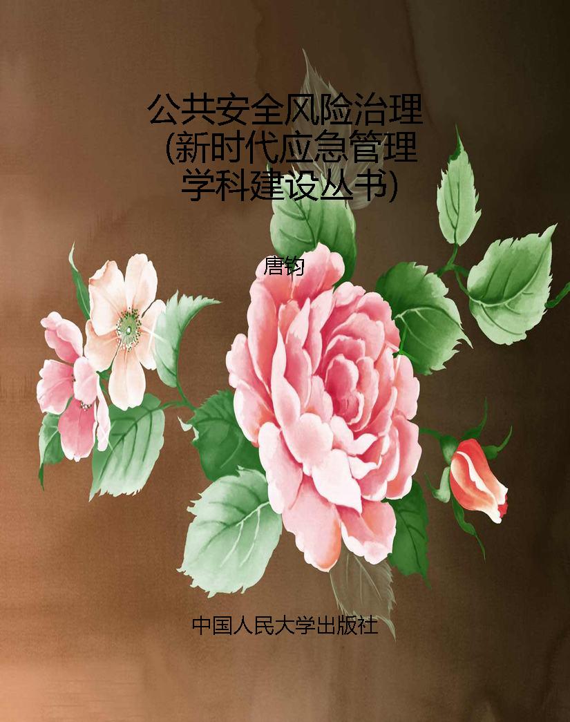 公共安全风险治理（新时