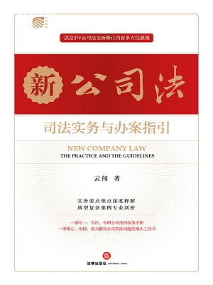 新公司法司法实务与办
