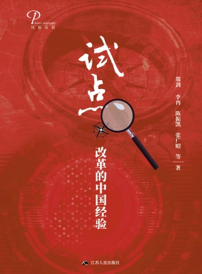 试点：改革的中国经验