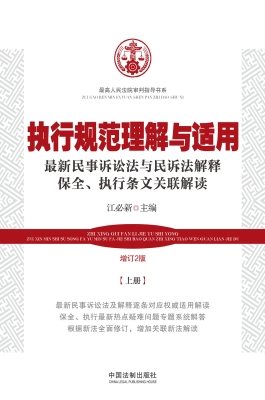 执行规范理解与适用—