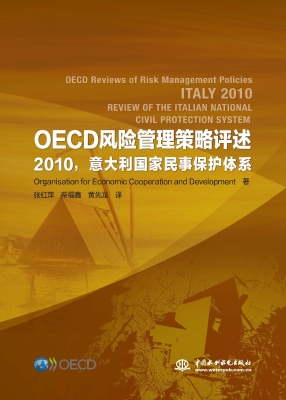 OECD风险管理策略评述
