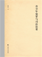 青少年犯罪与司法论要