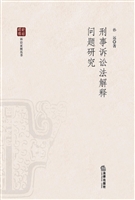 刑事诉讼法解释问题研