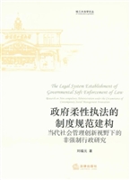 政府柔性执法的制度规