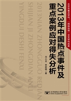 2013年中国热点事件及