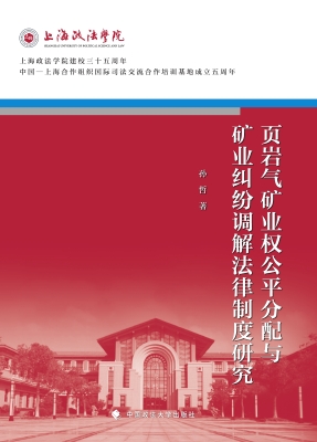 页岩气矿业权公平分配