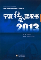 2013宁夏社会蓝皮书