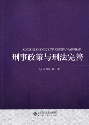 刑事政策与刑法完善