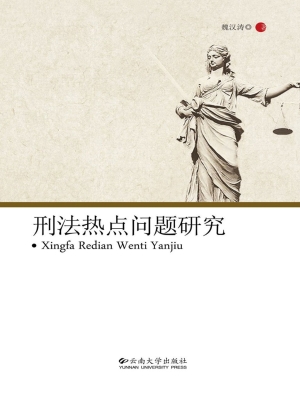 刑法热点问题研究