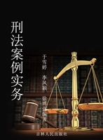 刑法案例实务