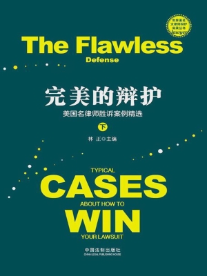 完美的辩护：美国名律师