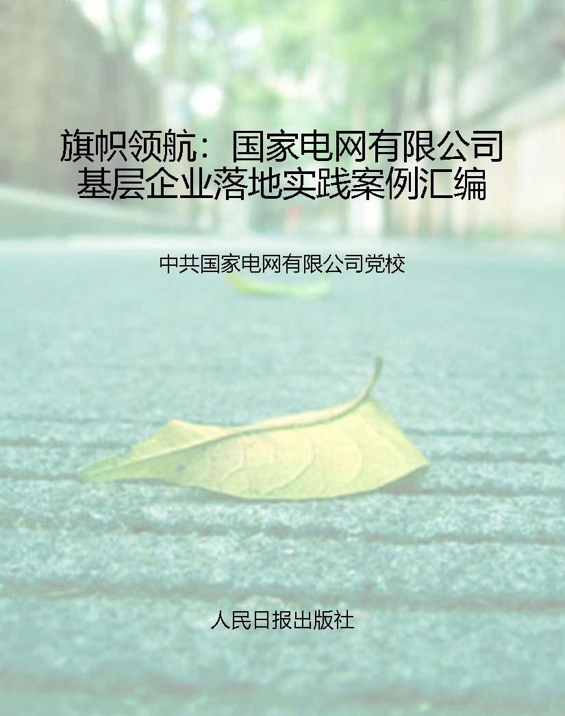 旗帜领航：国家电网有限