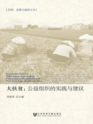 大扶贫：公益组织的实践