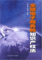 全球电子商务的知识产
