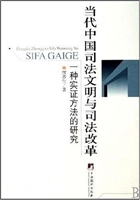 当代中国司法文明与司