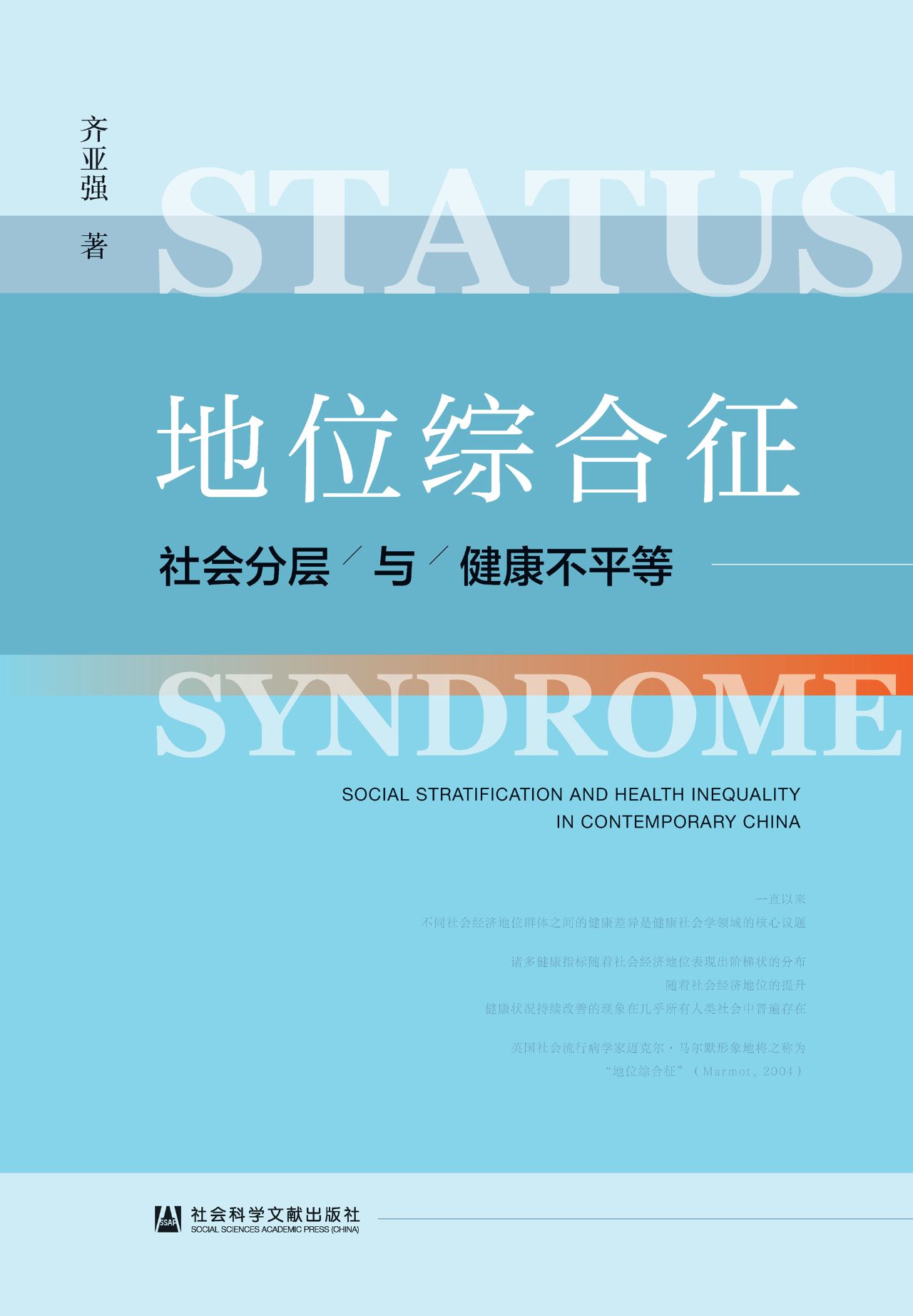 地位综合征：社会分层与