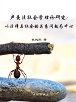 卢曼法社会学理论研究